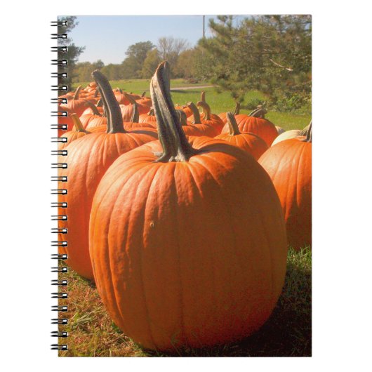 Pumpkin Harvest Notitieboek (Voorkant)