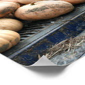 Pumpkin Harvest on Pickup Truck Herfst Poster (Hoek)