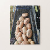 Pumpkin Harvest on Truck Autum Legpuzzel (Verticaal)