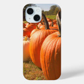 Pumpkin Harvest, Pumpkin Patch Pumpkins Case-Mate iPhone Case (Achterkant)