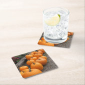 Pumpkin Harvest Seasonal Kartonnen Onderzetters (Insitu)