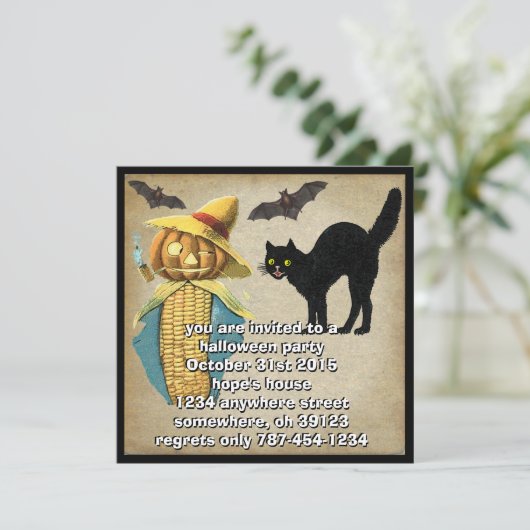 Pumpkin Head Black Cat Bats Halloween Party Invite Kaart (Staand voorkant)