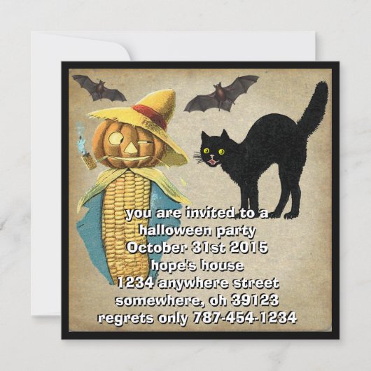 Pumpkin Head Black Cat Bats Halloween Party Invite Kaart (Voorkant)