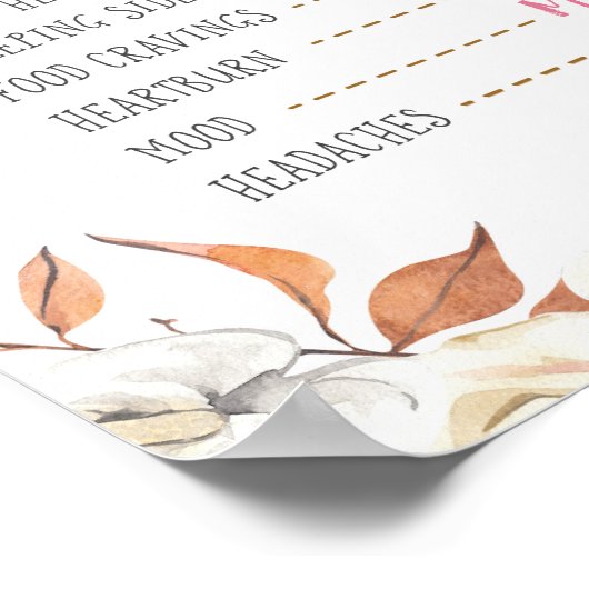 Pumpkin Herfst Old Wives Poster (Hoek)