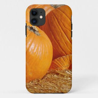 Pumpkin-Herfst Scene Case-Mate iPhone Case