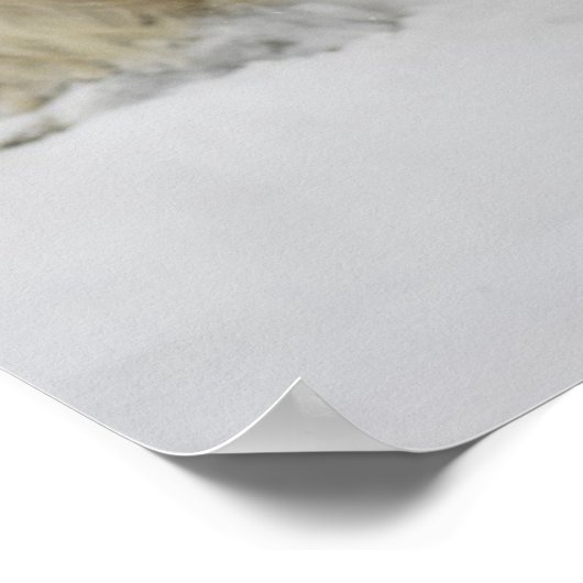 Pumpkin in sneeuw poster (Hoek)