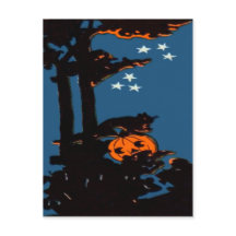 Pumpkin Jack O' Lantern Cat Oranje Black