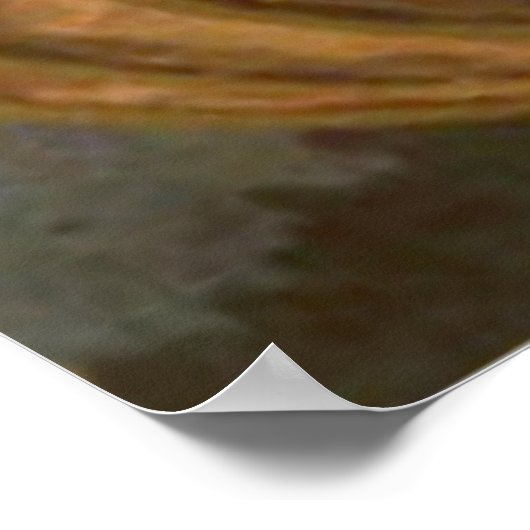 Pumpkin Jack O Lantern Witch Full Moon Poster (Hoek)