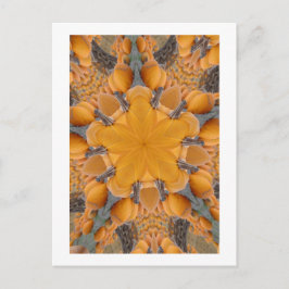 Pumpkin Kaleidoscope Briefkaart