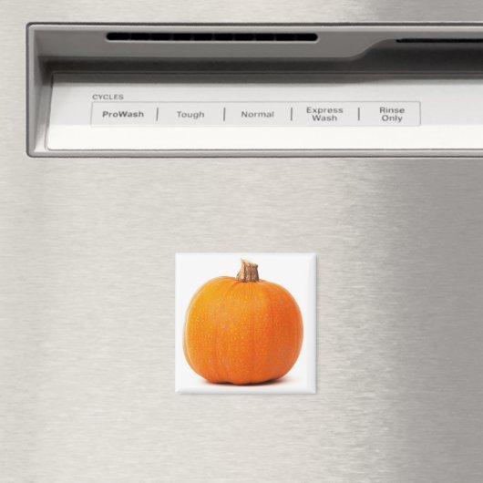 Pumpkin Magnet (Insitu (Vaatwasser))