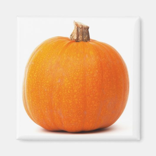 Pumpkin Magnet (Voorkant)