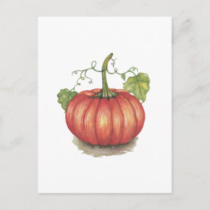 Pumpkin met wijnstokken in Waterverf Briefkaart