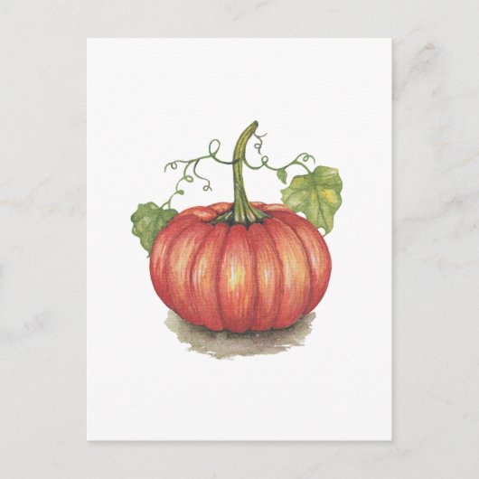 Pumpkin met wijnstokken in Waterverf Briefkaart (Voorkant)