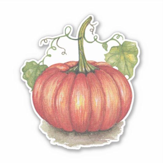 Pumpkin met wijnstokken in Waterverf Sticker (Voorkant)