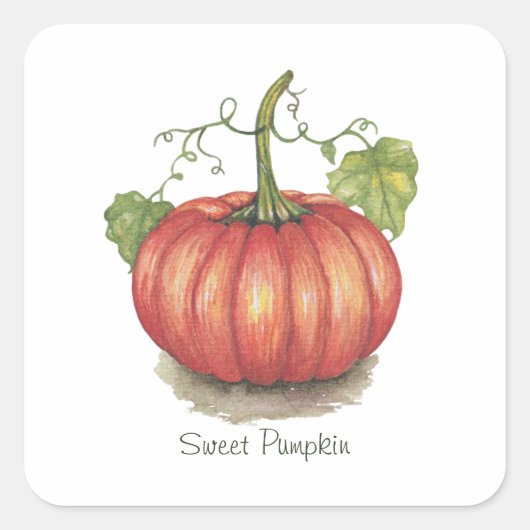 Pumpkin met wijnstokken in Waterverf Vierkante Sticker (Voorkant)