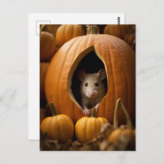 Pumpkin Mouse Briefkaart (Voorkant / Achterkant)