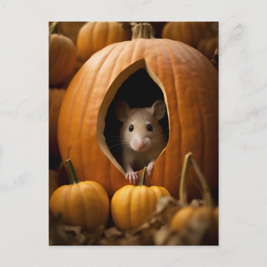 Pumpkin Mouse Briefkaart (Voorkant)