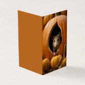 Pumpkin Mouse Kaart (Buitenkant)