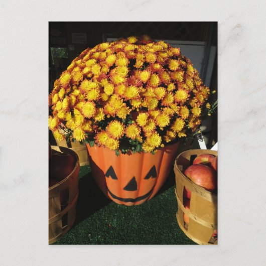 Pumpkin Mum Briefkaart (Voorkant)