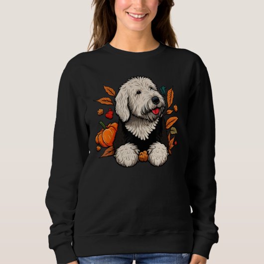 Pumpkin Old English Sheepdog costume on Bobtail Ha Trui (Voorkant)