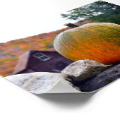 Pumpkin on Rock Wall in Vermont (herfst) Poster (Hoek)
