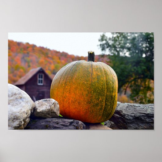 Pumpkin on Rock Wall in Vermont (herfst) Poster (Voorkant)