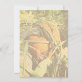 Pumpkin On The Vine Fall Nature  Kaart (Achterkant)