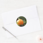 Pumpkin op Black Fence Ronde Sticker (Envelop)