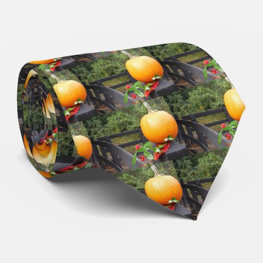 Pumpkin op Black Fence Stropdas (Opgerold)