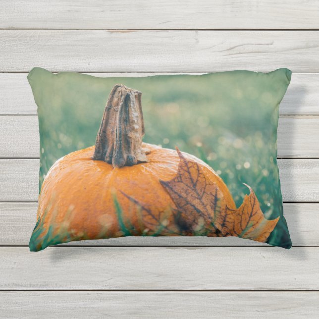 Pumpkin op de gras buitenkussen (Voorkant)