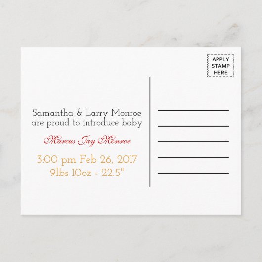 Pumpkin Owl & Gingham Het is een 'Baby Boy'-aankon Aankondigingskaart (Achterkant)