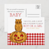Pumpkin Owl & Gingham New Baby Announge Aankondigingskaart (Voorkant / Achterkant)
