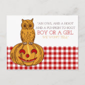 Pumpkin Owl & Gingham New Baby Announge Aankondigingskaart (Voorkant)