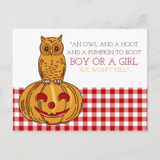 Pumpkin Owl & Gingham New Baby Announge Aankondigingskaart (Voorkant)