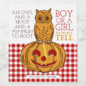 Pumpkin Owl & Gingham New Baby Announge Wijn Etiket (Enkel label)