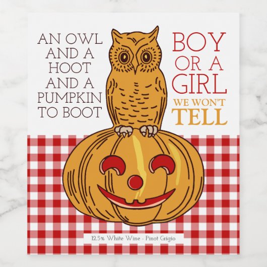 Pumpkin Owl & Gingham New Baby Announge Wijn Etiket (Enkel label)