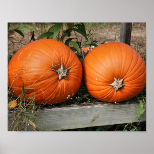 Pumpkin Pair Country Herfst Poster (Voorkant)