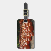 Pumpkin Patch Autumn Harvest Photography Bagagelabel (Voorkant verticaal)