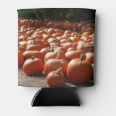 Pumpkin Patch Autumn Harvest Photography Blikjeskoeler (Voorkant)