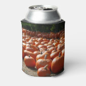 Pumpkin Patch Autumn Harvest Photography Blikjeskoeler (Blikje Achterkant)