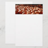 Pumpkin Patch Autumn Harvest Photography Briefpapier (Voorkant / Achterkant)