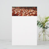 Pumpkin Patch Autumn Harvest Photography Briefpapier (Staand voorkant)