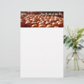 Pumpkin Patch Autumn Harvest Photography Briefpapier (Staand voorkant)