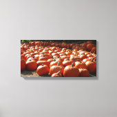 Pumpkin Patch Autumn Harvest Photography Canvas Afdruk (Voorkant)
