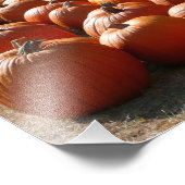 Pumpkin Patch Autumn Harvest Photography Foto Afdruk (Hoek)