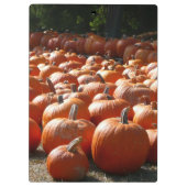Pumpkin Patch Autumn Harvest Photography Klembord (Achterkant)
