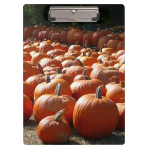 Pumpkin Patch Autumn Harvest Photography Klembord