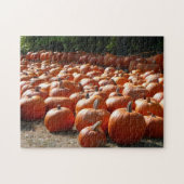 Pumpkin Patch Autumn Harvest Photography Legpuzzel (Horizontaal)