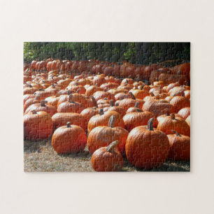 Pumpkin Patch Autumn Harvest Photography Legpuzzel
