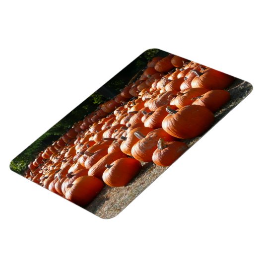 Pumpkin Patch Autumn Harvest Photography Magneet (Linkerzijde)